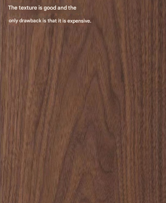 North American Walnut Coffee Table with Storage – Solid Wood TV Cabinet Combination for Modern Living Room