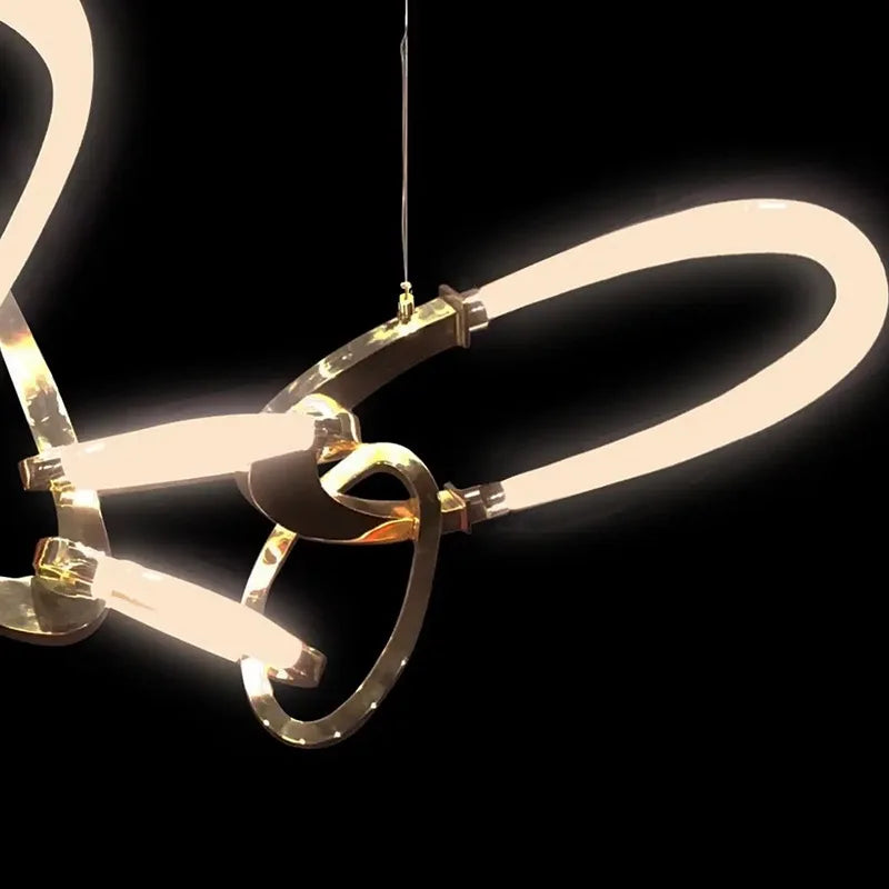 Decorative LED ceiling fixture with elegant curved frame